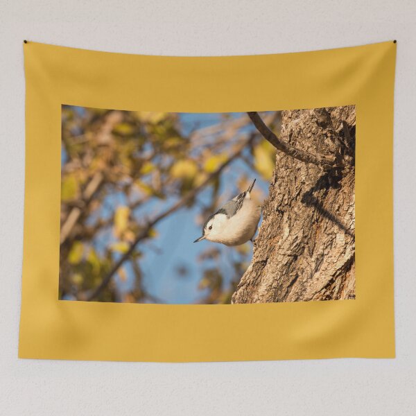 Item preview, Nuthatch Moving Down The Tree Trunk designed and sold by Debra Martz.