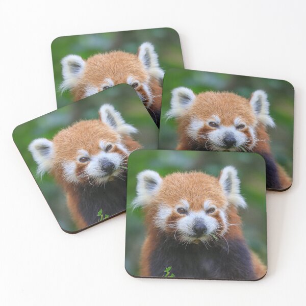 Item preview, Animals 137 - (c) ben yassa designed and sold by beny .