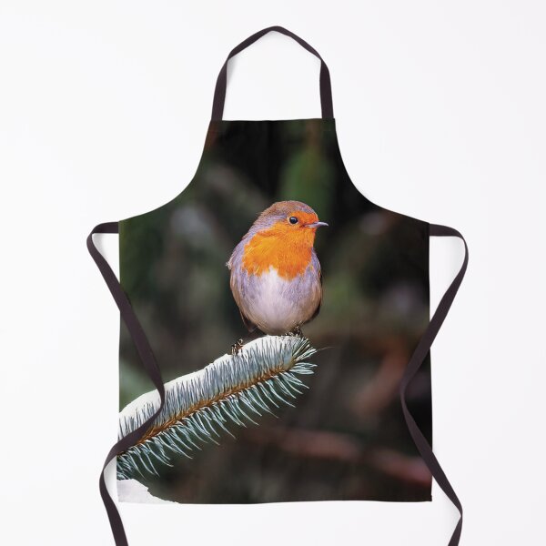 Item preview, Robin Redbreast in Winter designed and sold by Tom McPherson Photography.
