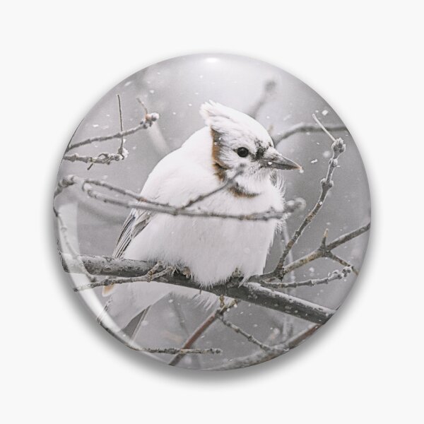 Item preview, Rare White Blue Jay  designed and sold by NicoleFrederick.