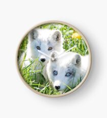 Arctic fox and kit Clock