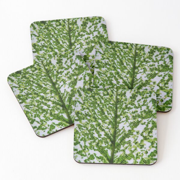 Item preview, Leaf 4 - (c) ben yassa designed and sold by beny .