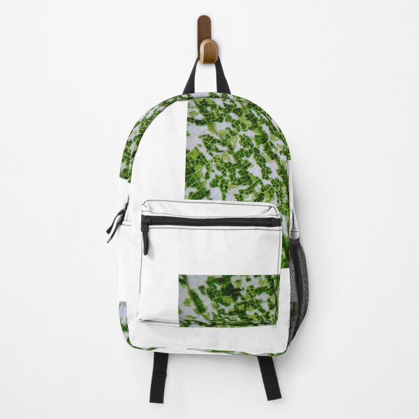Item preview, Leaf 4 - (c) ben yassa designed and sold by beny .