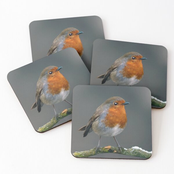 Item preview, Robin Redbreast  designed and sold by Tom McPherson Photography.