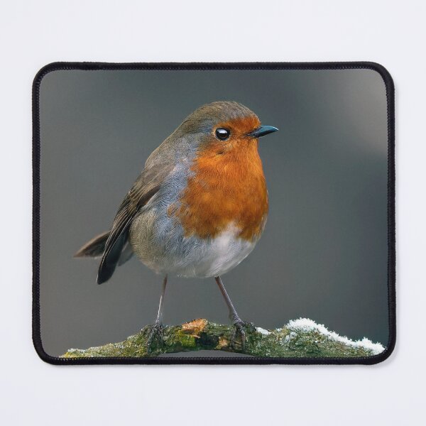 Item preview, Robin Redbreast designed and sold by Tom McPherson Photography.