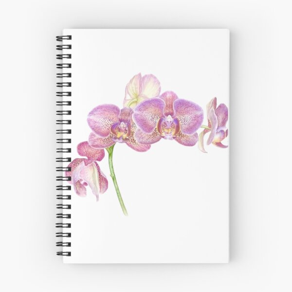 Item preview, Phalaenopsis Orchids designed and sold by littlestarsart.