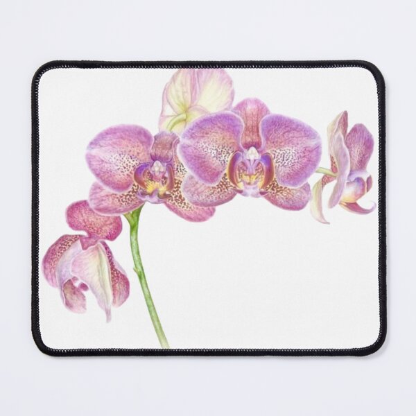 Item preview, Phalaenopsis Orchids designed and sold by littlestarsart.