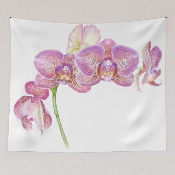 Item preview, Phalaenopsis Orchids designed and sold by littlestarsart.