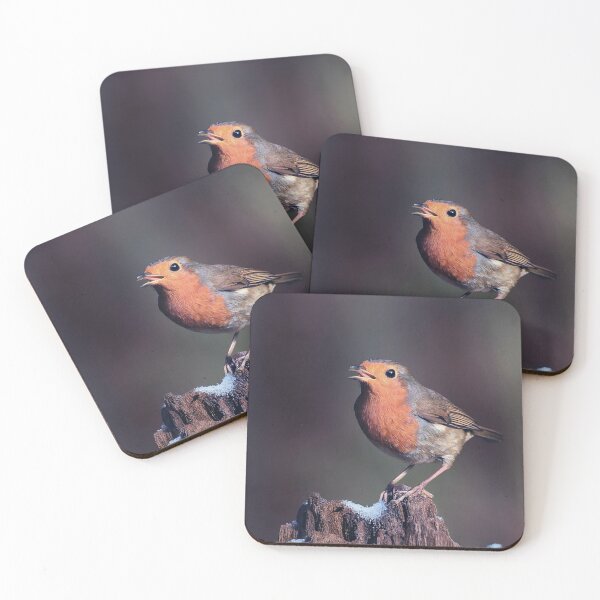 Item preview, Robin Redbreast in Winter designed and sold by Tom McPherson Photography.