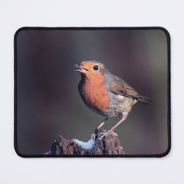 Item preview, Robin Redbreast in Winter designed and sold by Tom McPherson Photography.