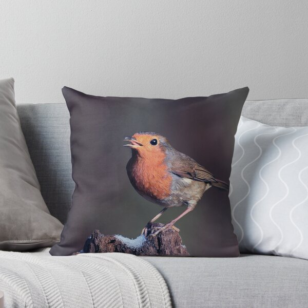 Item preview, Robin Redbreast in Winter designed and sold by Tom McPherson Photography.