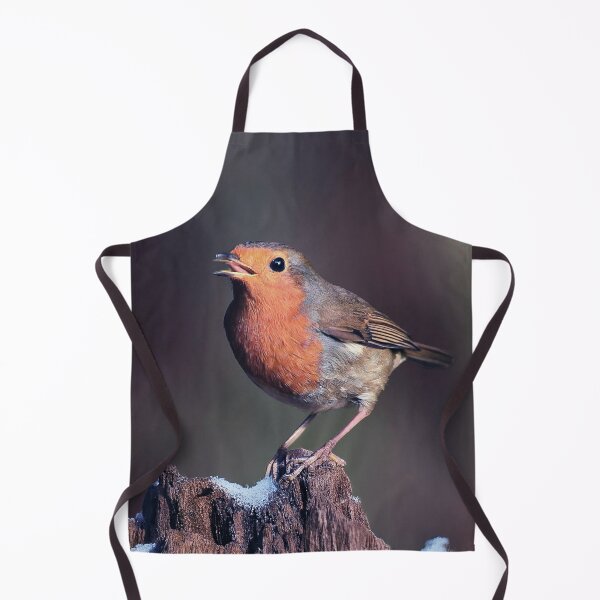 Item preview, Robin Redbreast in Winter designed and sold by Tom McPherson Photography.
