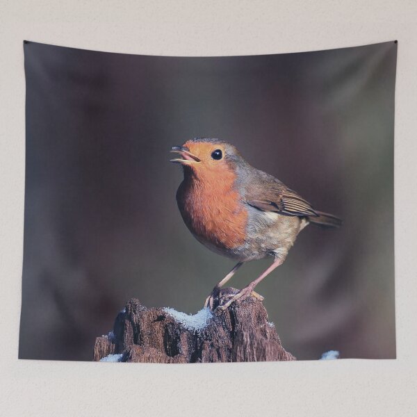Item preview, Robin Redbreast in Winter designed and sold by Tom McPherson Photography.