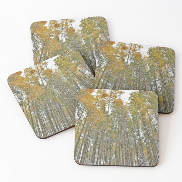 Item preview, Aspens #3 designed and sold by Rachel Jeffrey.