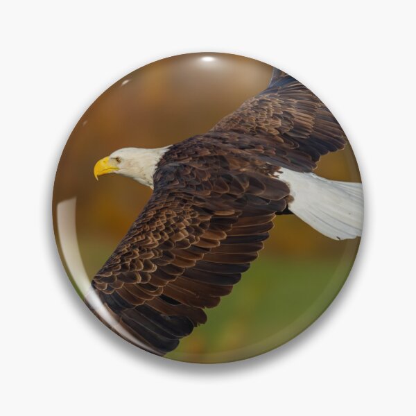 Item preview, Soaring eagle designed and sold by FlyingLilly.