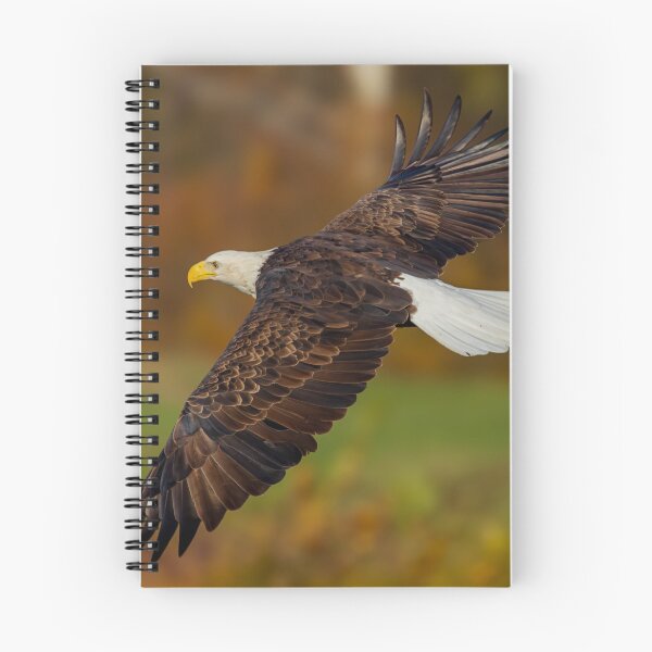 Item preview, Soaring eagle designed and sold by FlyingLilly.