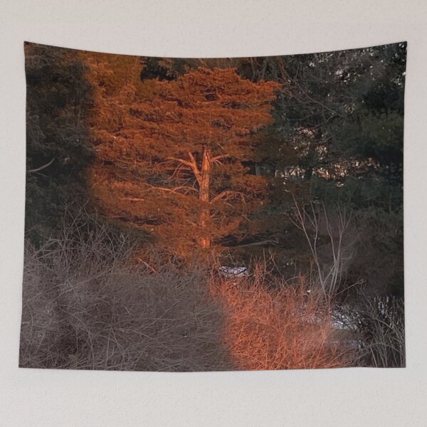 Item preview, Red Sunrise Light on Cedars  designed and sold by CJRPics.