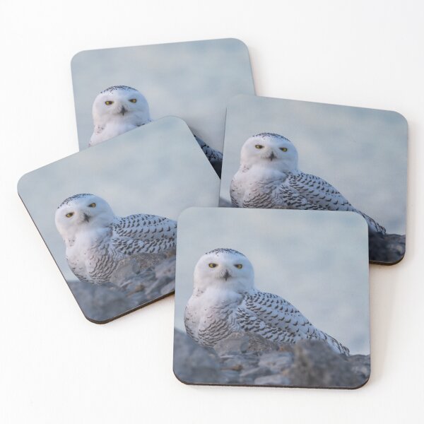 Item preview, Snowy Owl sitting on rocks designed and sold by FlyingLilly.