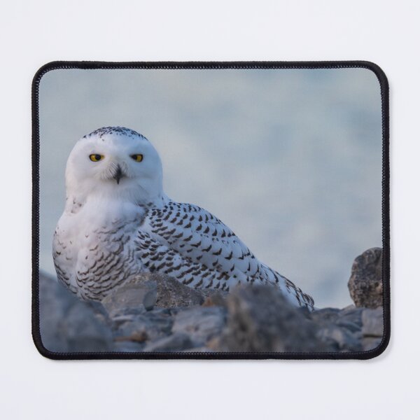 Item preview, Snowy Owl sitting on rocks designed and sold by FlyingLilly.
