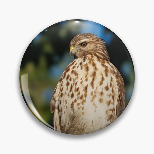 Item preview, Red Tail hawk designed and sold by FlyingLilly.