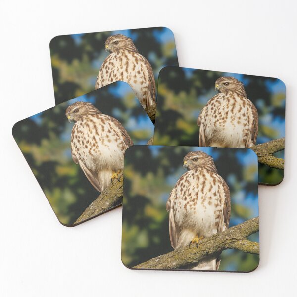 Item preview, Red Tail hawk designed and sold by FlyingLilly.