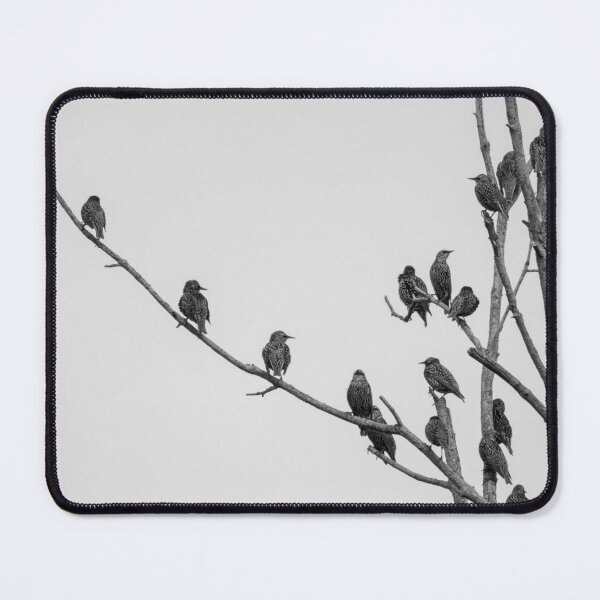 Item preview, Starlings designed and sold by FlyingLilly.