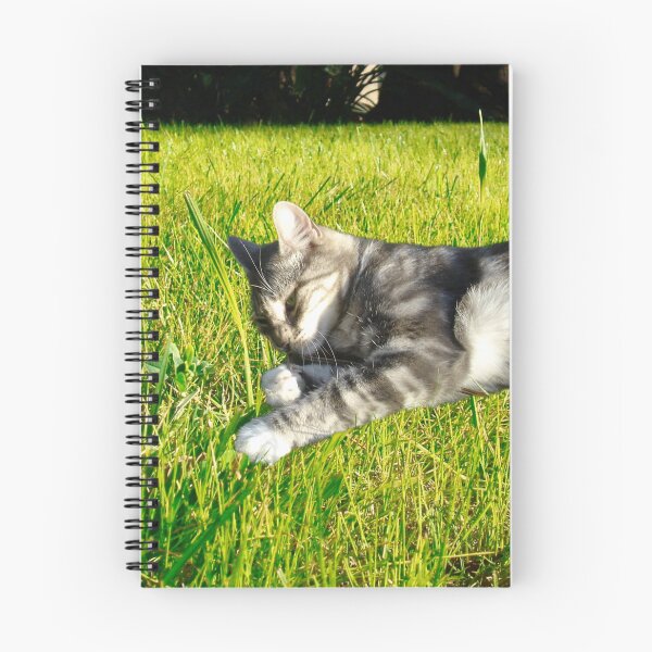 Item preview, Sunbathing Cat designed and sold by ontological.