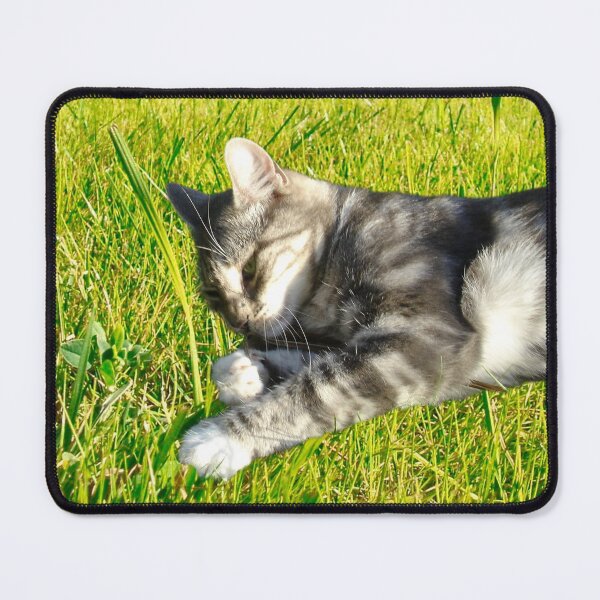 Item preview, Sunbathing Cat designed and sold by ontological.