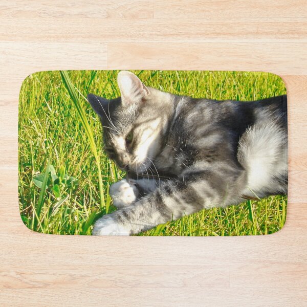 Item preview, Sunbathing Cat designed and sold by ontological.