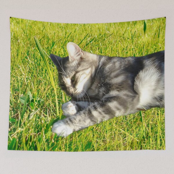 Item preview, Sunbathing Cat designed and sold by ontological.
