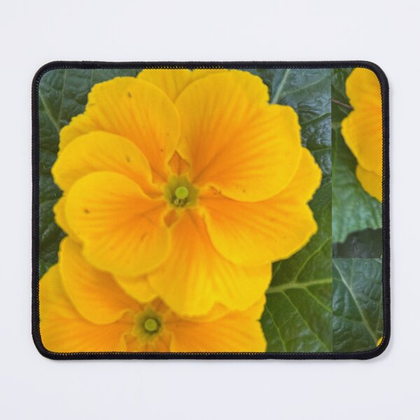 Item preview, Yellow flowers , primrose designed and sold by Lauracolleen3.