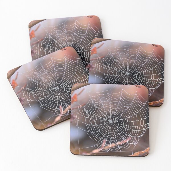 Item preview, Spider webs designed and sold by Parks and X.