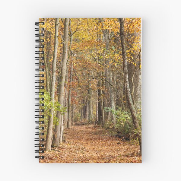 Aperçu de l'œuvre Une promenade en automne créée et vendue par FlyingLilly.