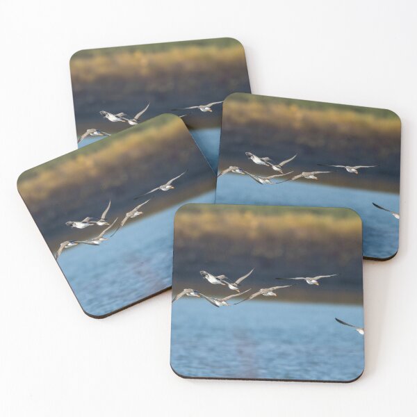 Item preview, Shore birds in flight designed and sold by FlyingLilly.