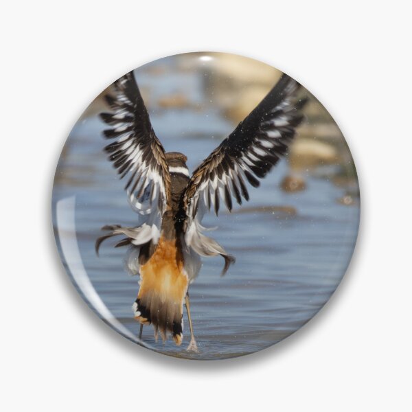 Item preview, Killdeer bathing designed and sold by FlyingLilly.