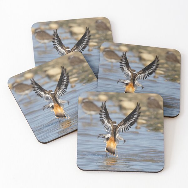 Item preview, Killdeer bathing designed and sold by FlyingLilly.