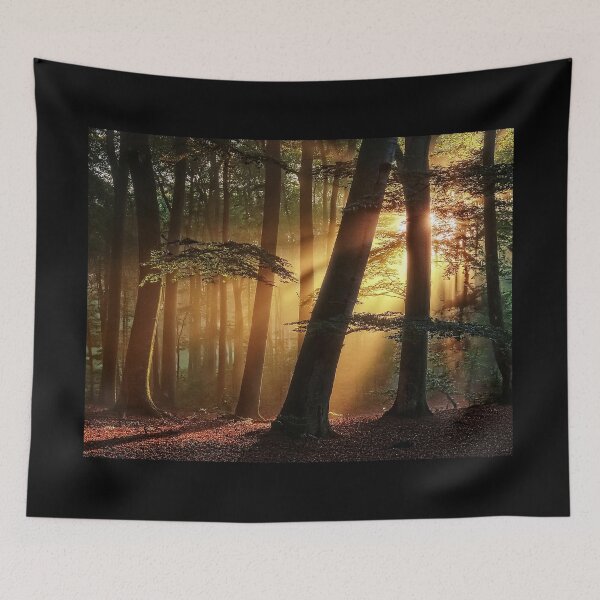 Item preview, Sunlight designed and sold by andreisky.