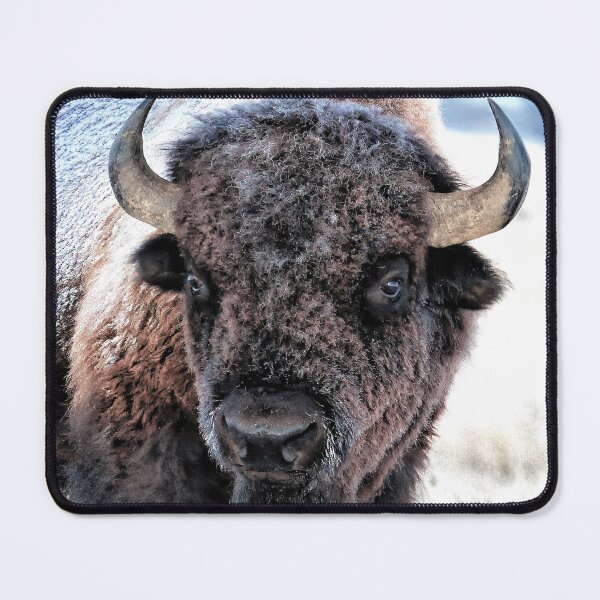 Item preview, Majestic Winter Bison - Nature Resilient Giant designed and sold by Rocky Mountain Artistry.