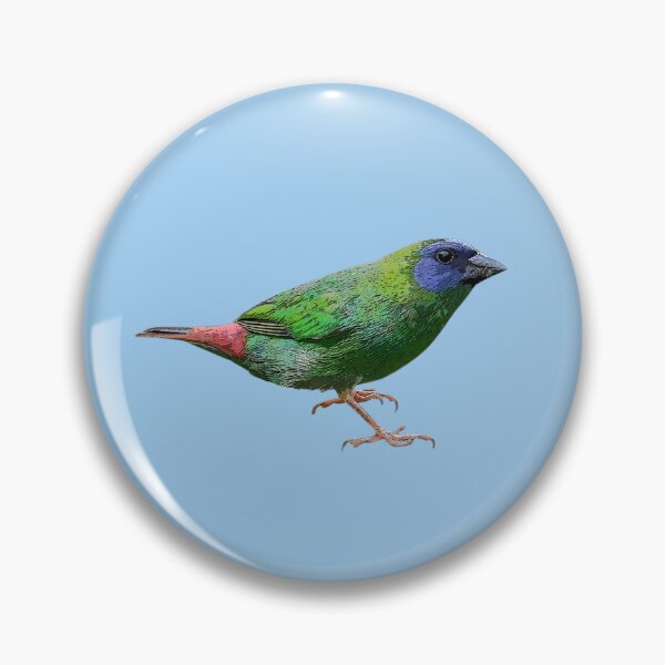 Item preview, Blue-faced Parrot-Finch Color Design  designed and sold by designsasstultd.