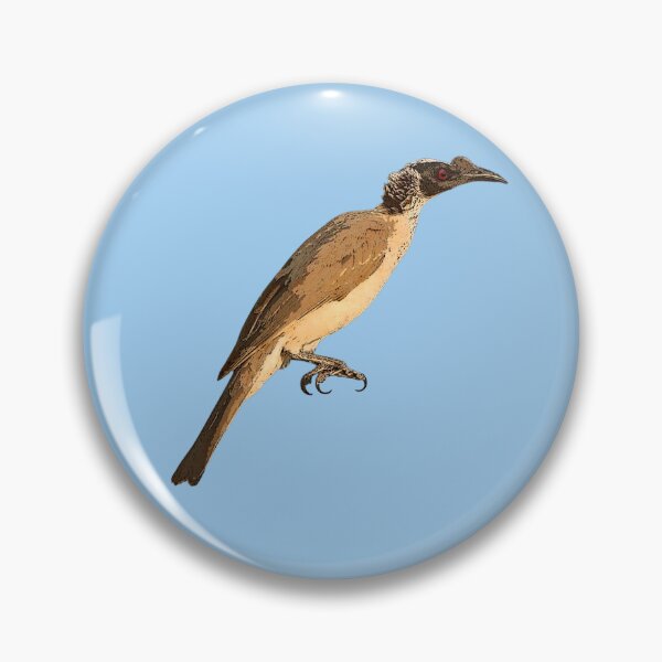 Item preview, Silver-crowned Friarbird Color Design  designed and sold by designsasstultd.