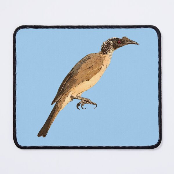 Item preview, Silver-crowned Friarbird Color Design designed and sold by designsasstultd.