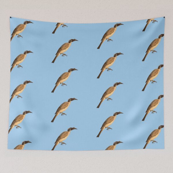 Item preview, Silver-crowned Friarbird Color Design  designed and sold by designsasstultd.