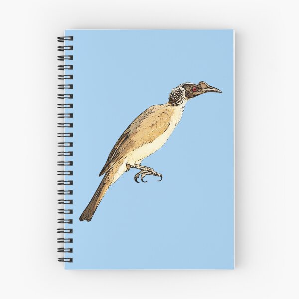 Item preview, Silver-crowned Friarbird Black Alternate Design  designed and sold by designsasstultd.