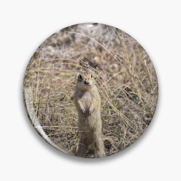 Aperçu de l'œuvre Marmotte debout créée et vendue par NaVisuals.