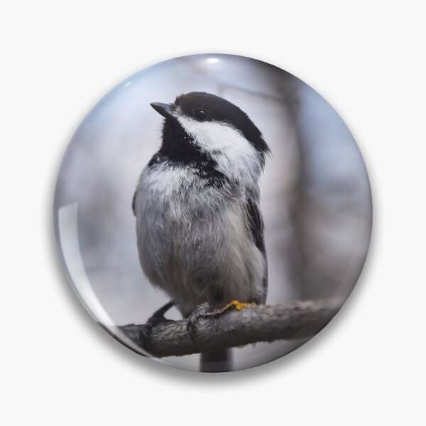 Item preview, Chickadee Sitting on Branch designed and sold by NaVisuals.