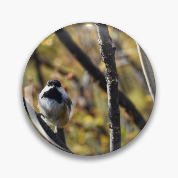 Item preview, Chickadee on Branch designed and sold by NaVisuals.