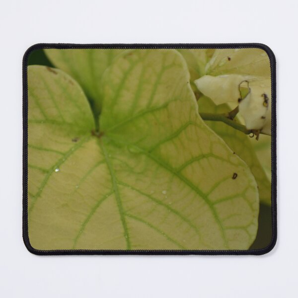 Item preview, Two shade green elephant ears  designed and sold by FoxGlove5.