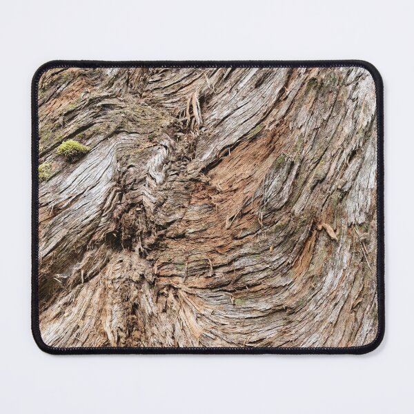 Item preview, Tree within the Tasmania Tarkine designed and sold by Brendon987.