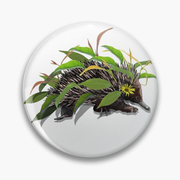 Item preview, Echidna Dressed In Gumnut Leaves - No Colour Background designed and sold by joanstratton.