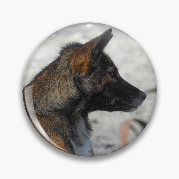 Item preview, Dingo in the wild! designed and sold by BigDesertDingo.
